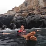 Swimming with Sea Lions on Palomino Island in Lima with Tickets