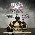 Pignoise Day
