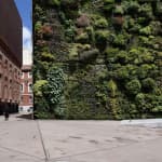 Visita guiada privada al CaixaForum Madrid con entradas