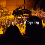 ﻿Candlelight Spring : Tribute to Coldplay