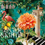 House of Strauss - Zögernight: "Zwischen den Zeilen"