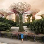 Singapore Instagram Private Walking Tour (Private & All-Inclusive)