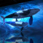 ARTE MUSEUM: An Immersive Media Art Exhibition