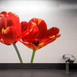 Visite guidée : L’Art dans le Métro Bruxellois