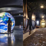 Fonseca Cellar & The Wine Experience: Tour + Degustação