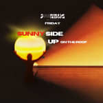 Sunny Side Up: Calussa