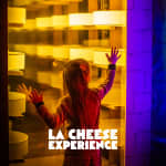 The Cheese Experience: the immersive tasting journey where cheeses come to life!