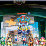 PAW Patrol Live! Het Grote Piratenavontuur - Groningen - Wachtlijst - De Oosterpoort PAW Patrol Live! Het Grote Piratenavontuur - Groningen - Wachtlijst