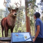 Meta Park Zoo