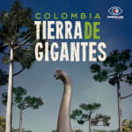 Pereira Bajo las Estrellas - Colombia Tierra de Gigantes