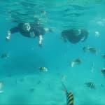 Luxury Snorkeling on Your Vacation Exclusively Private Guaranteed