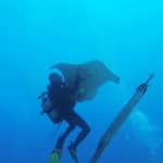 Los Cristianos: Clase guiada de buceo