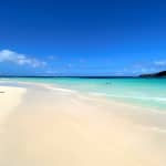 Avventura a Culebra: nuota con le tartarughe e visita alla spiaggia del Flamenco in traghetto