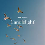 Candlelight: A Tribute to Taylor Swift