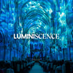 LUMINISCENCE - Cathédrale de Bordeaux : Histoire, Vidéo Mapping 360° et Musique Live