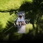 Wellness Office - The Pilates Experience