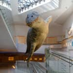 Papalote Museo del Niño