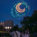 Van Gogh's Starry Nights at NYBG