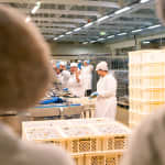 Conservas Pinhais Factory Tour: Guided Experience in English