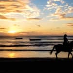 Cartagena: Horseback Riding at the Beach During Day or Sunset