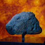 Natural History Museum Abu Dhabi: Entry Ticket