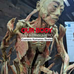 Our Body: El universo dentro