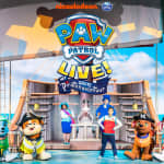PAW Patrol Live! Het Grote Piratenavontuur - Almelo - Waitlist