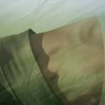 Bloom - Women's Wellness Day