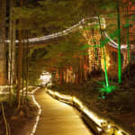 Vancouver: Capilano Suspension Bridge Park & City Tour