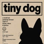 Tiny Dog