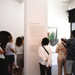 Introduction to Tel Aviv's Art Galleries and Studios 