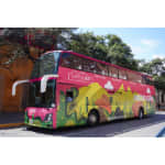 Nuevo León City Tour Hop On/ Hop Off (HOHO)