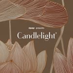 Candlelight: Tribut an Sezen Aksu