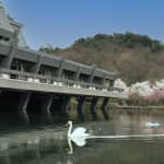 Kyoto International Conference Center – Spring Special Opening