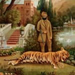 Royal Ontario Museum Feature Exhibit: Nature in Brilliant Colour