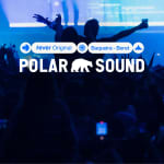 Polar Sound Festival 13 y 14 marzo 2026 - Lista de espera