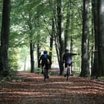 Malmo Bike Rental