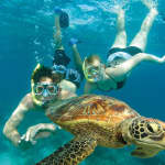 Green Island Tour: Catamaran Cruise from Cairns