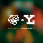 Tigres vs Leones Serie 12 Juegos 1 y 2