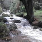 Reserve El Delirio - La Maria