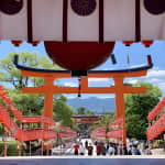 Hidden Secrets of Fushimi Inari: Bamboo Paths and Sake Village