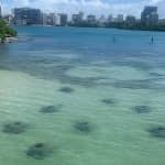 Esperienza di snorkeling con le tartarughe marine