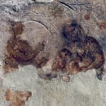 ﻿Catacomb of Priscilla: Guided Tour
