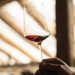 Cata Exclusiva de Vinos Internacionales en Hotel Rosewood Villa Magna
