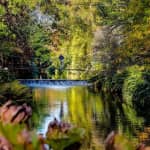 Avoca Mount Usher Gardens: Self Guided Experience