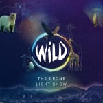 WILD: The Drone Light Show - Brighton & Hove