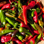 Wander New Mexico Food Tour - Railyard Arts District