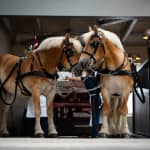 Carlsbergs hjem: Adgangsbillet inklusive en gratis øl eller sodavand