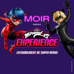 Miraculous Experience: Superhero Training al MOIR