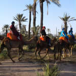 Promenade à dos de chameau au coucher du soleil dans la palmeraie de Marrakech